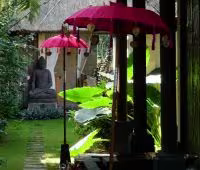 Villa Bamboo, Garden detail